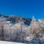 Winterlandschaft - Ginau - Winter in Wagrain